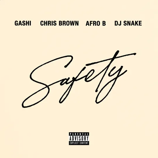 Safety 2020 (feat. DJ Snake, Chris Brown & Afro B) - Single