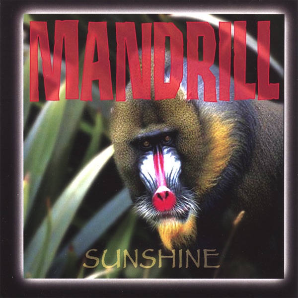 Mandrill Album