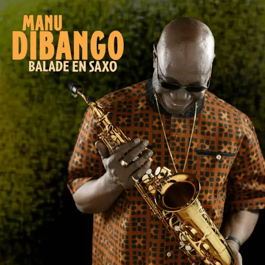 Manu dibango 15