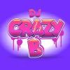 DJ Crazy B : de Champion du Monde à Birdy Nam Nam