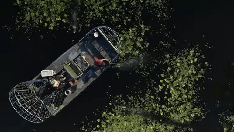 Grassrivers gta 6 3