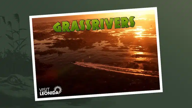Grassrivers postcard landscape